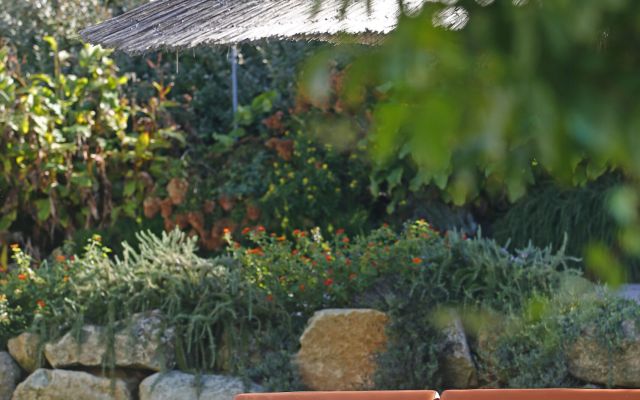 In den Farben des Indian Summer