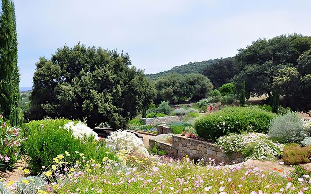 Parc de Saleccia