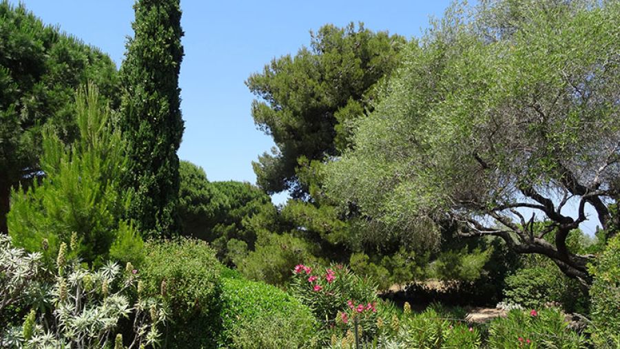 Une idée du printemps en Balagne